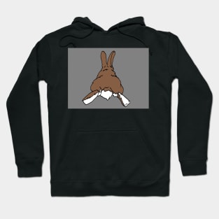 Pouting rabbit Hoodie